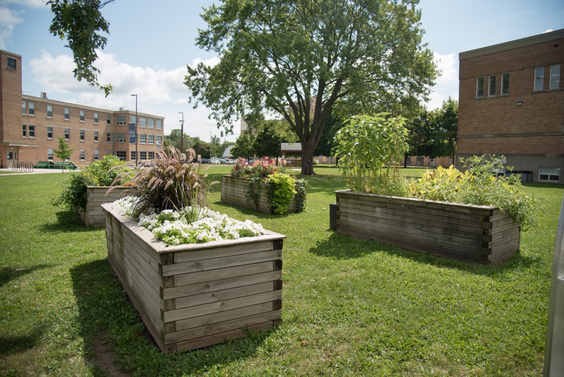 Picture of the four garden boxes taken in mid-August showing the diversity of approaches from each department.