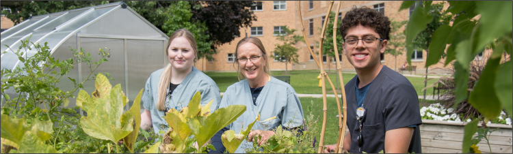 Staff from the Radiography department smile for photo while tending to their departmental garden box.