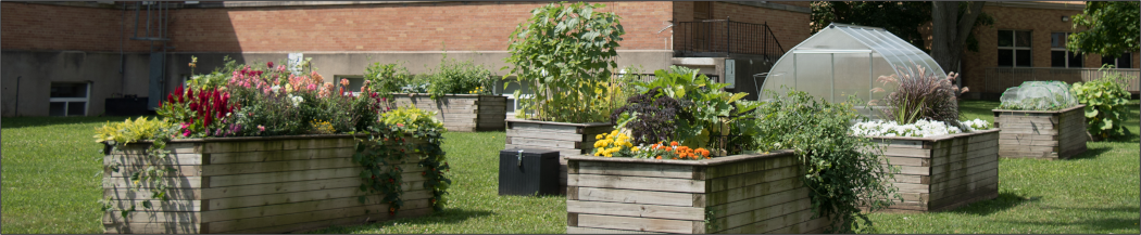 The four garden boxes included in the Green Team's Garden Box Project.