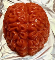 Example of Jello model brain used at LHSC's station